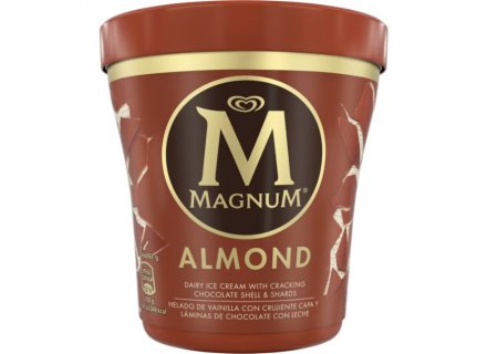 Magnum Almond Ice Cream