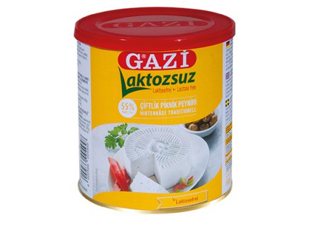 GAZI WITTE KAAS LACTOSEVRIJ 55% VET 500G