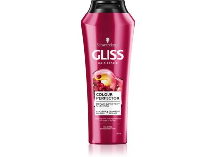 GLISS CON. COLOR PERFECTOR 360ML