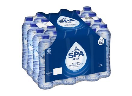 SPA REINE WATER 24X500ML